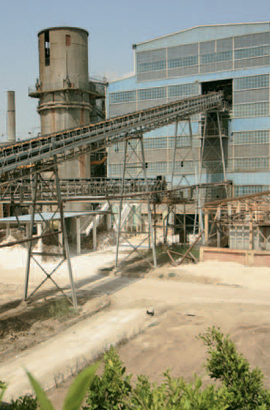 Sugar Plant